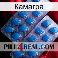 Камагра viagra2